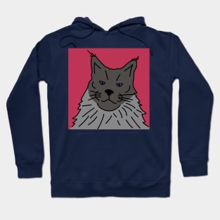 Maine Coon Cat Portrait with Background in Viva Magenta Hoodie